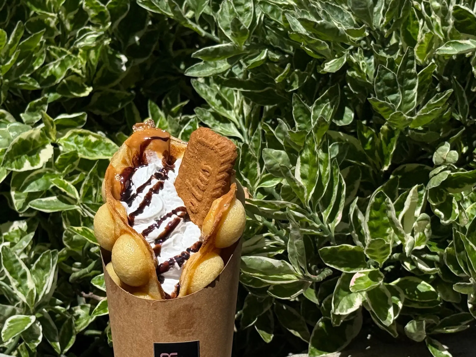 Lotus Ice Cream - Small