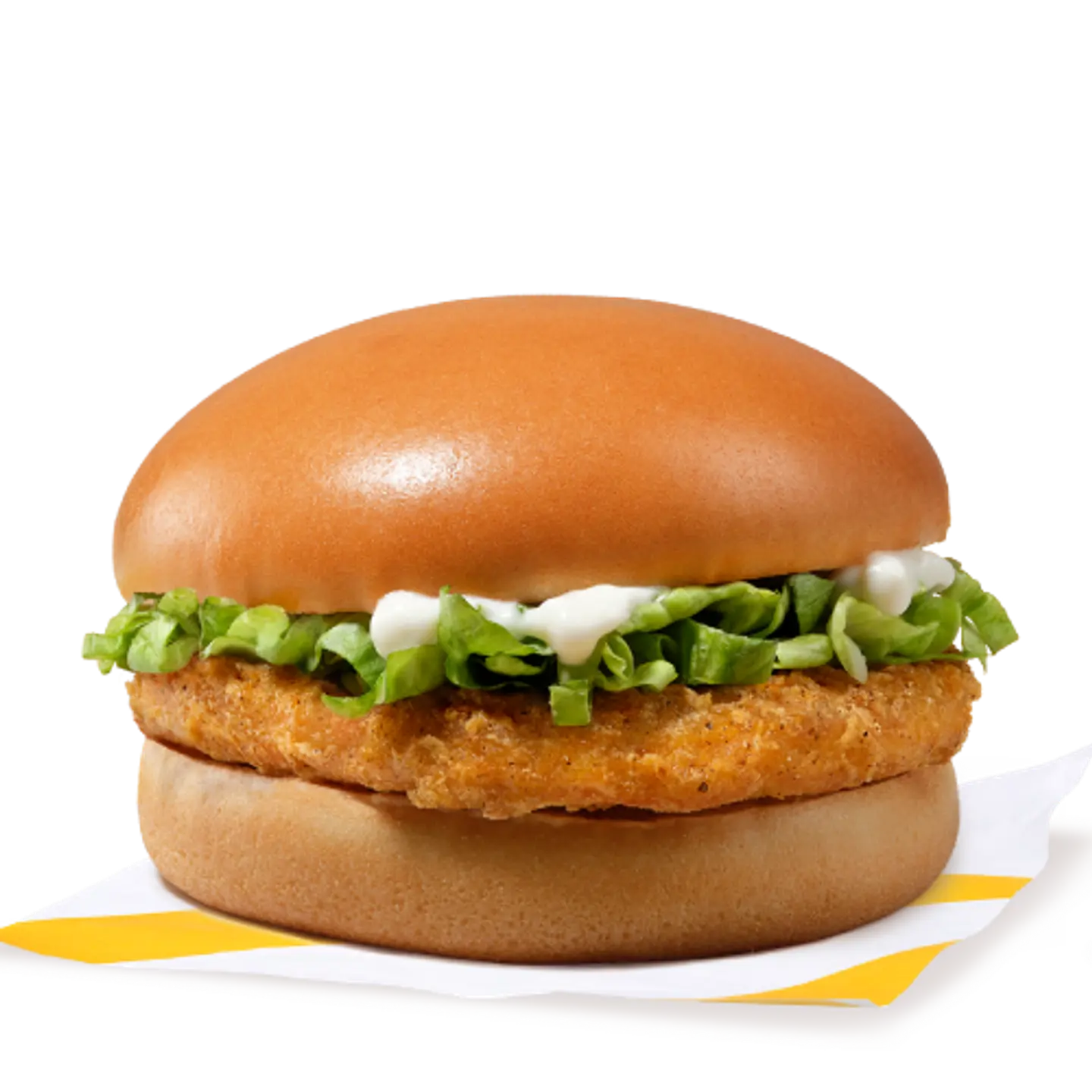 Chicken Burger - test